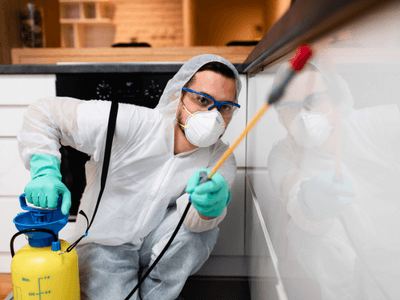 About Catoosa Termite Inspection - termite inspection experts in Catoosa