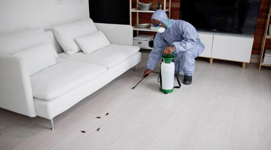 Why choose Catoosa Termite Inspection for termite inspection in Catoosa